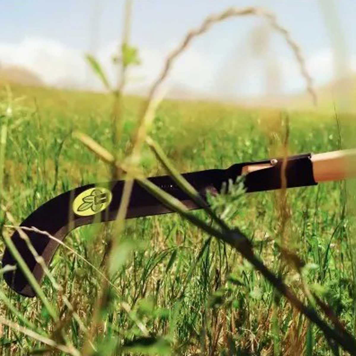 a5425ec848b084302998ec00e6efe52d