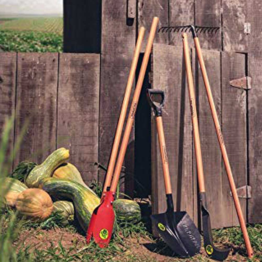 ef3d0a86c206dce752b5d15514b1807e