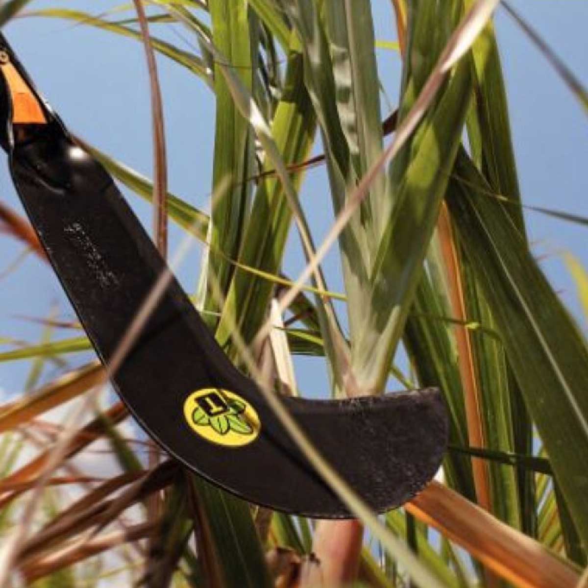 c907dc6eb2538e8d6a159950ae919d0a