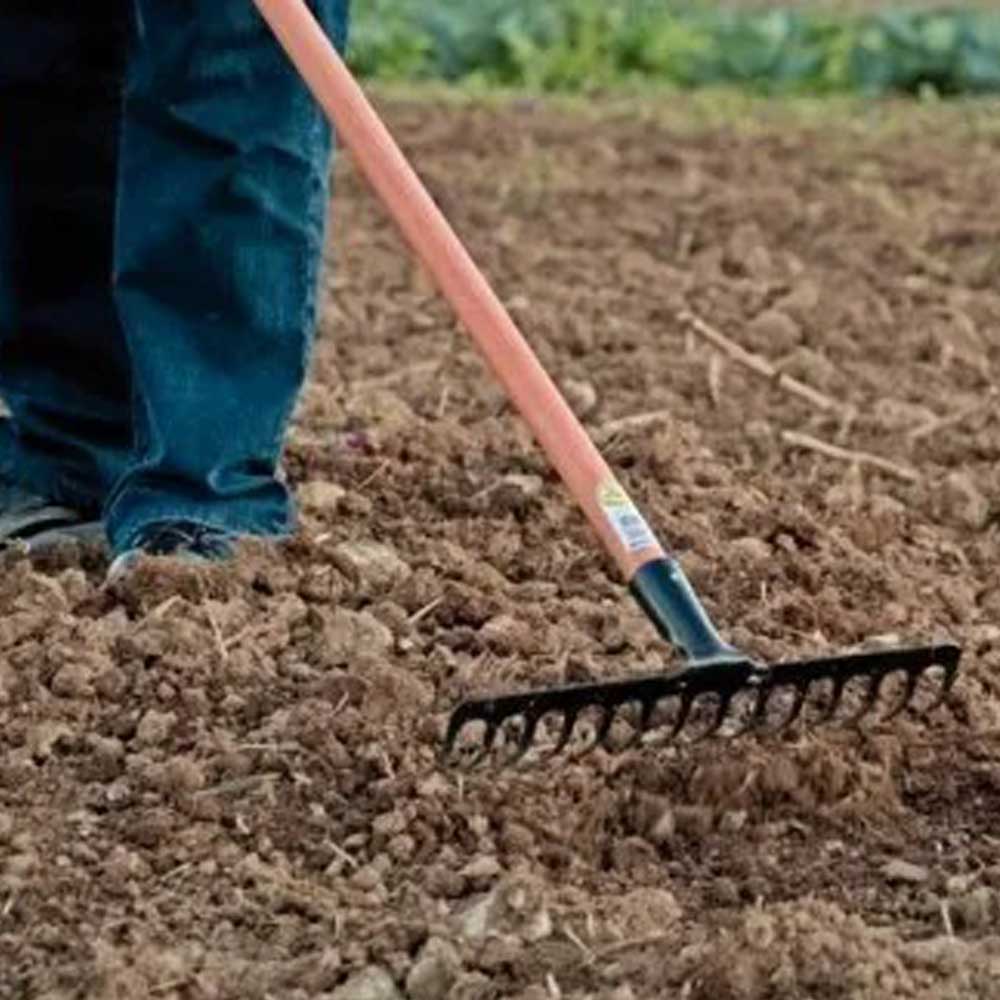 e4e8847fe94032f1ed6c75b11d811696