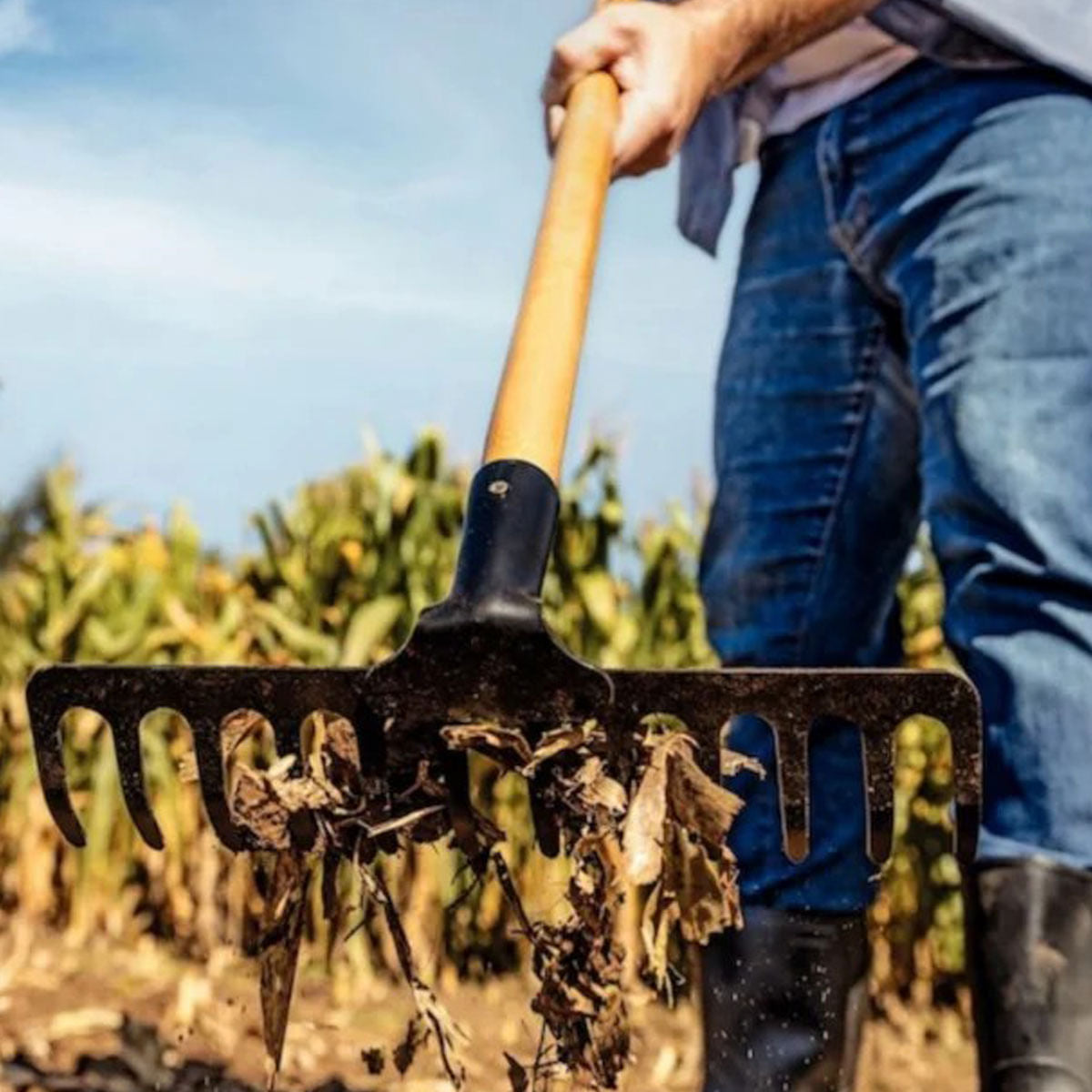 Ancinho 12 Dentes Sem Cabo Tramontina