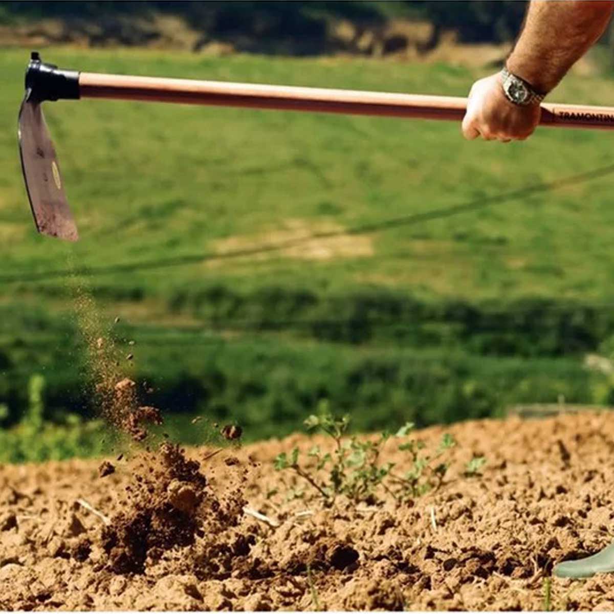 d1fb2f430f4fb815271f4be42d9d20d9