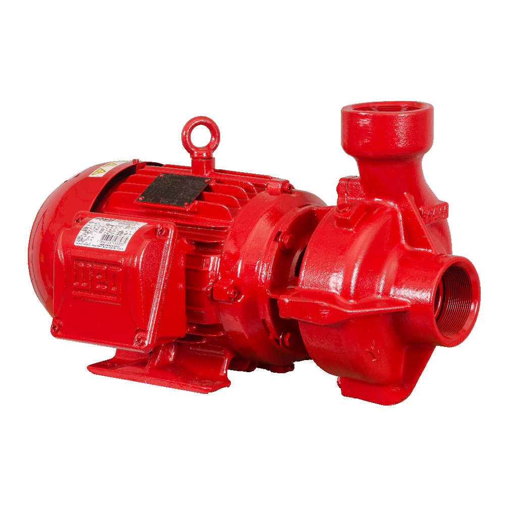 92c2bef005d55039f98b855ad49870ec