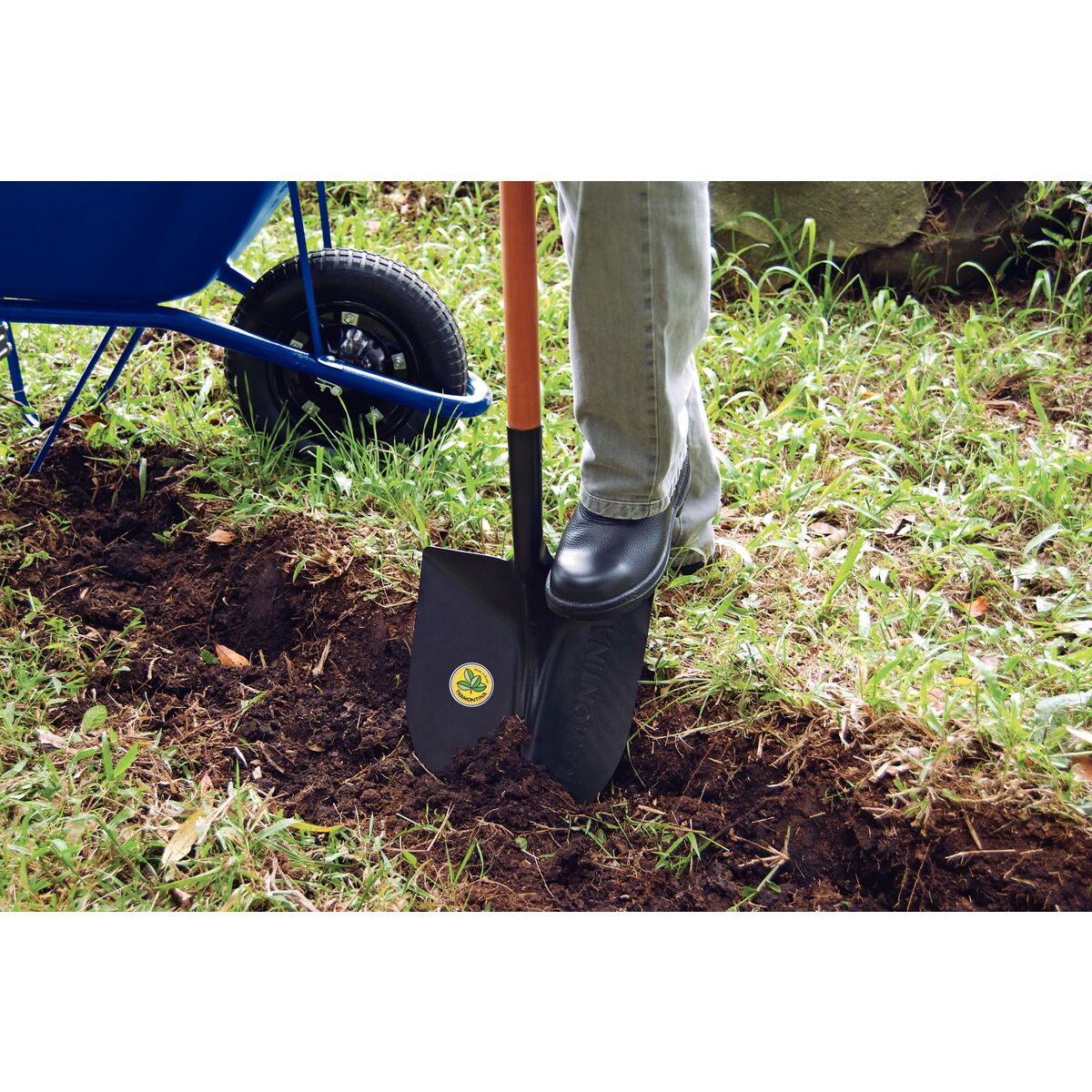 ce89ca1c84c929ffa12e05b632dcef37