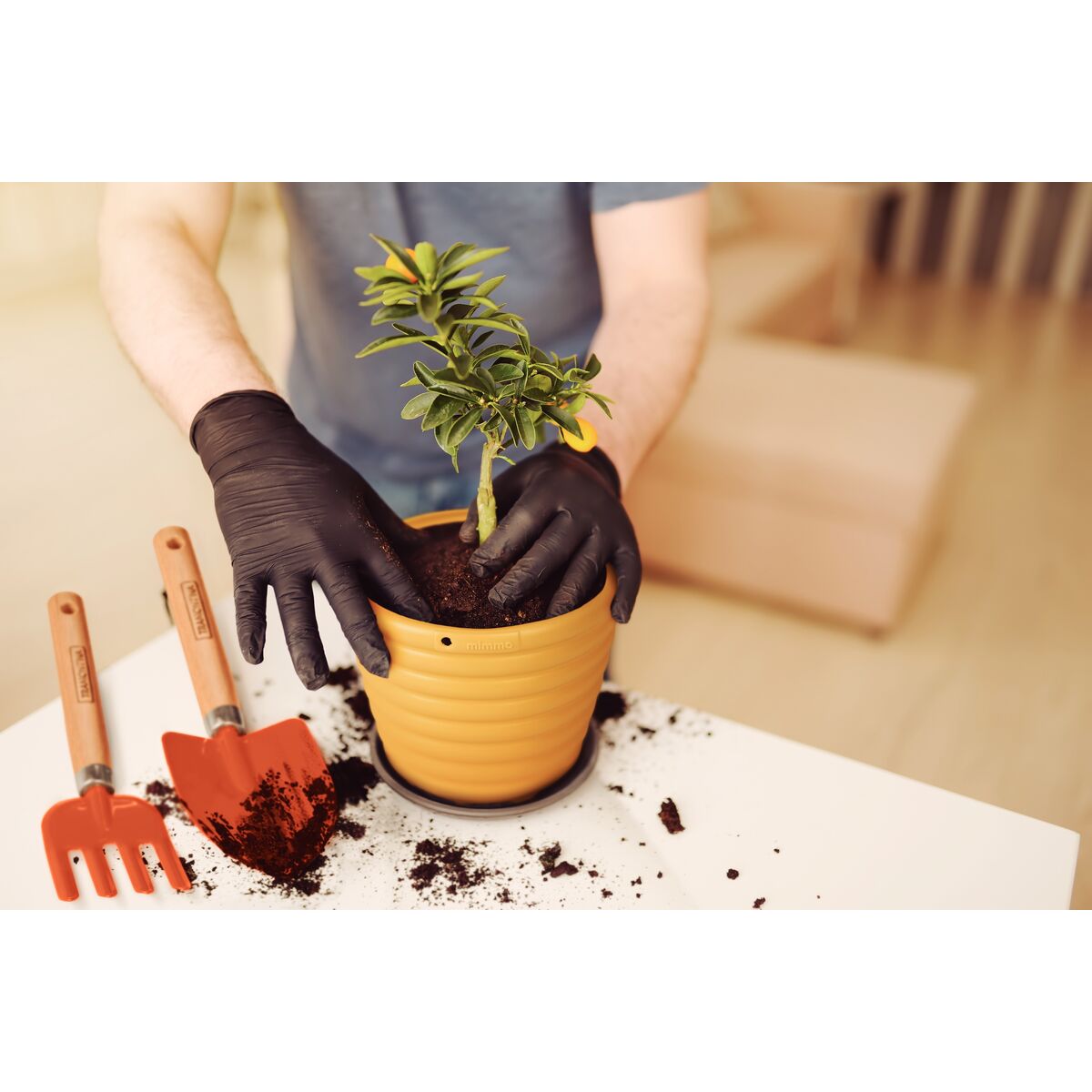 e65291dde5f9bdd214fba2edb97dd3ae