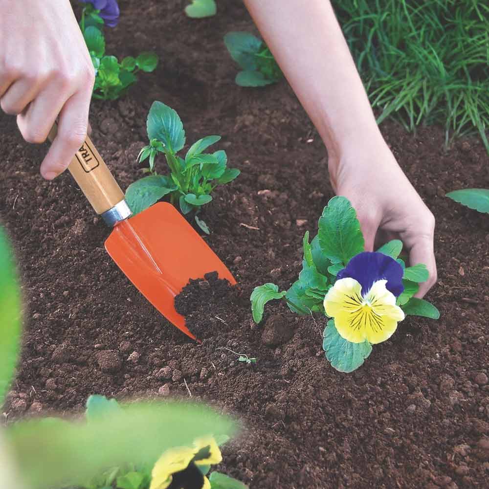 2d8a1c3b574826d37bc11fc3153188cd