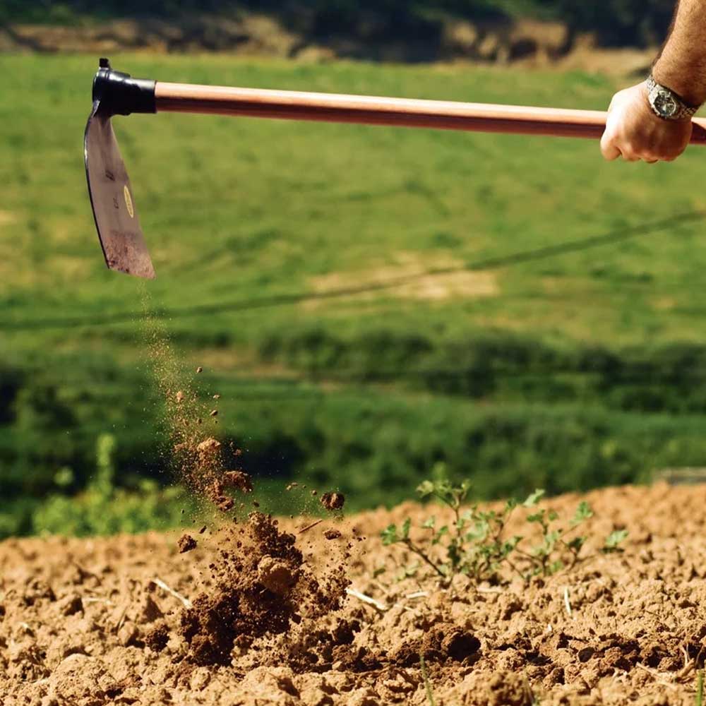 ac589e6073d125b96f6c2670096a09ae