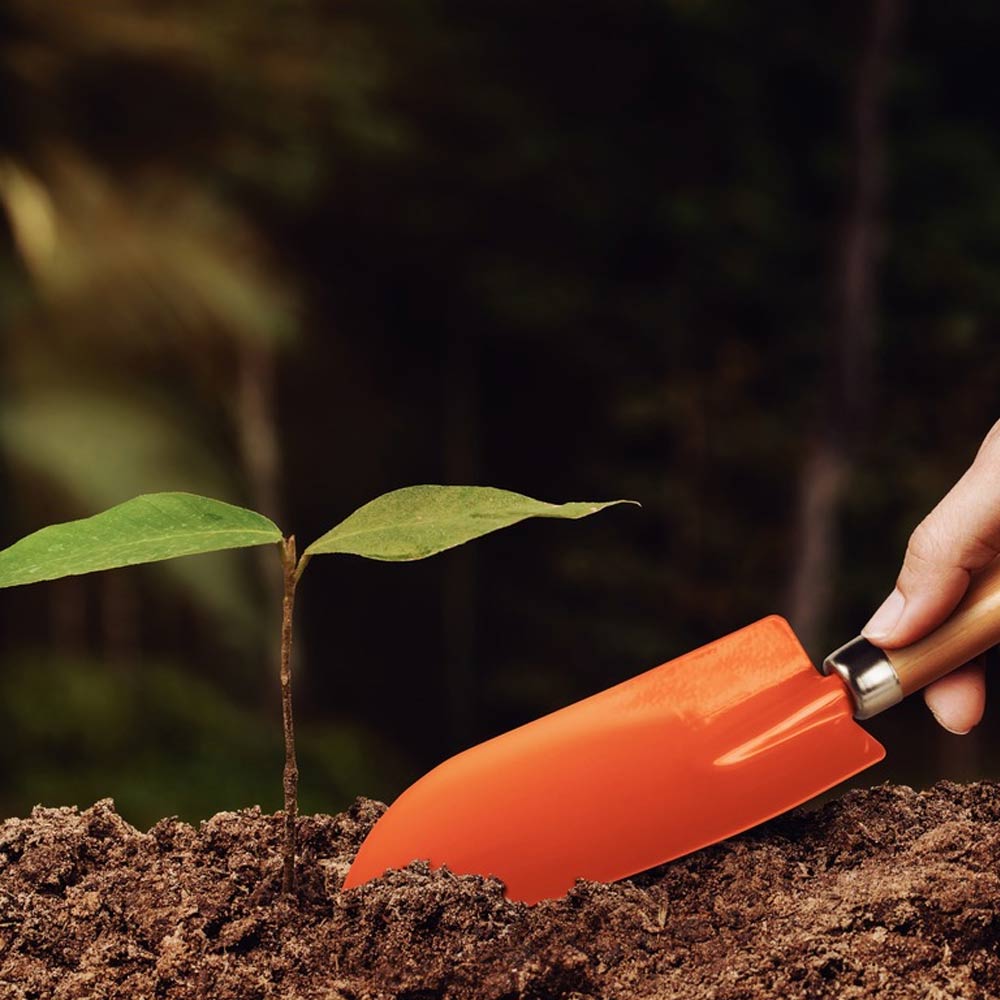 3c7bc1519d05d6fbcf603074f61070cf