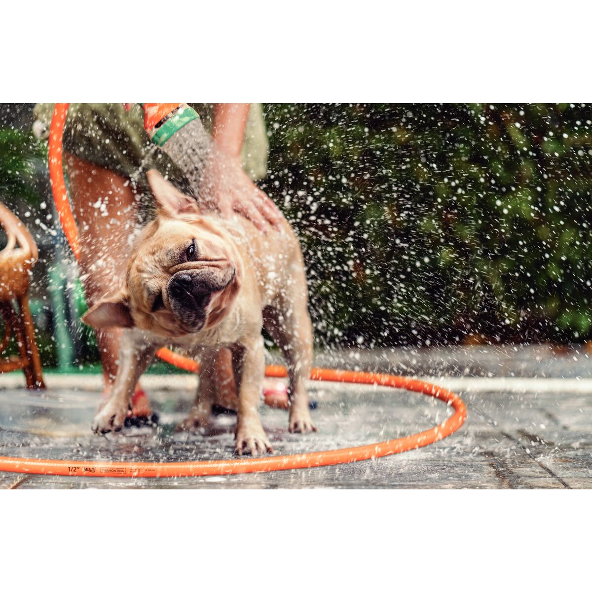 1cfd4189bba02b755960f8332d12def9