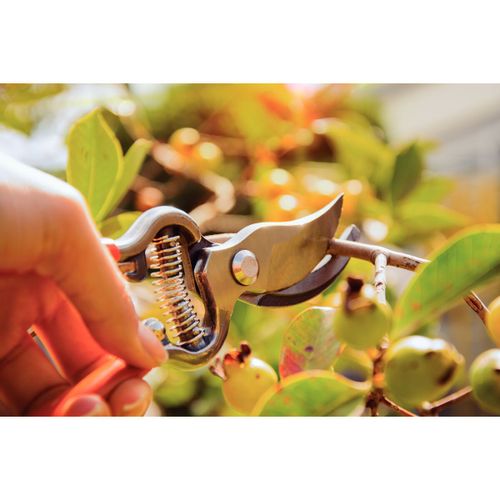 bf3a75b057a4028af508792e07d1504c