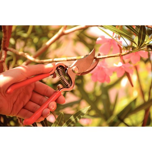 d8f7460b0bf5c9049a3f829463d52b8c