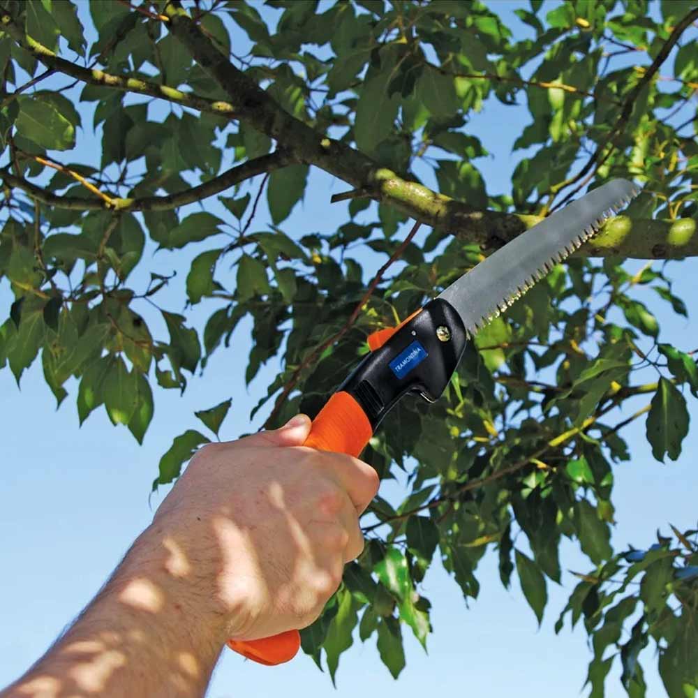 447eb609324299b3aff82f1d1cce960d