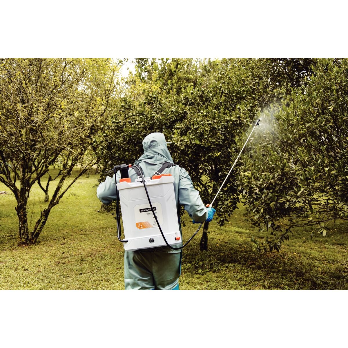 765abe89835e2690abd1f9b9304bb50b